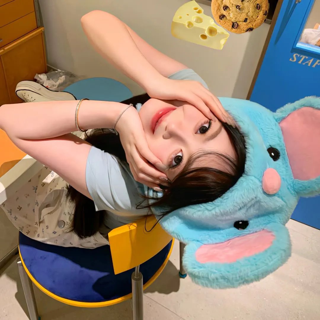 老鼠也能上天堂